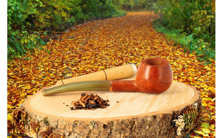 Pipe of the month november 2024